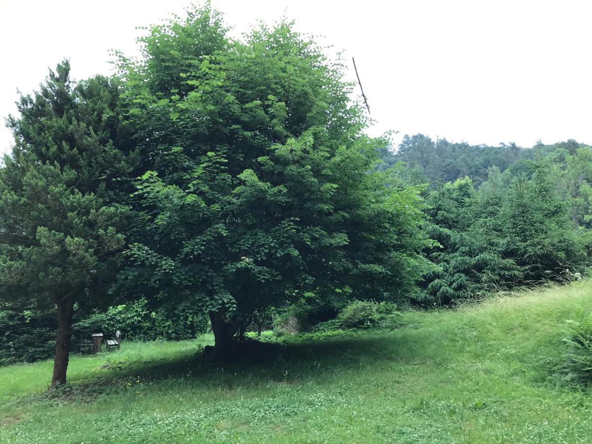 Apartmany Janska Dış mekan fotoğraf